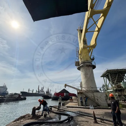 PT Dua Bersaudara Samudera - Jasa keagenan kapal - Ship Agency & Marine Services - Aktivitas (19)