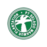 client & mitra DBS (6)